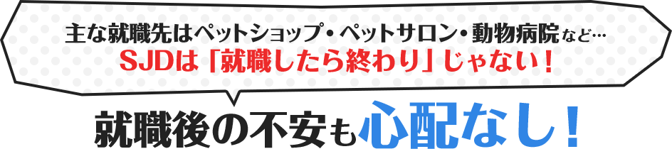 主な就職先はペットショップ・ペットサロン・動物病院など…SJDは「就職したら終わり」じゃない！就職後の不安も心配なし！