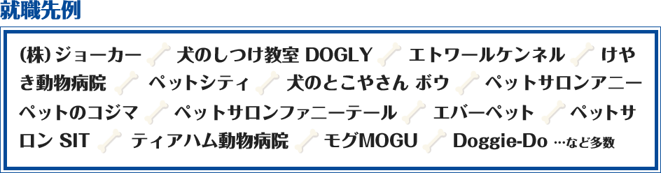 就職先例：（株）ジョーカー,犬のしつけ教室 DOGLY,エトワールケンネル,けやき動物病院,ペットシティ,犬のとこやさん,ボウ,ペットサロンアニー,ペットのコジマ,ペットサロンファニーテール,エバーペット,ペットサロン SIT,ティアハム動物病院,モグMOGU,Doggie-Do …など多数