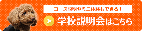 一般社団法人ジャパンケネルクラブ指定機関校 SJDドッググルーミングスクールの説明会へ行く