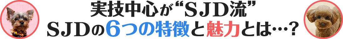 実技中心が“SJD流”SJDの6つの特徴と魅力とは…？