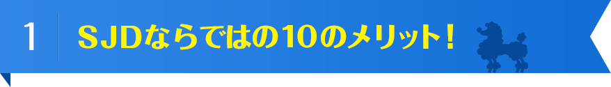 SJDならではの10のメリット！