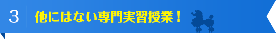 他にはない専門実習授業