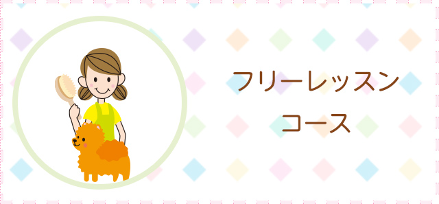 フリーレッスン
コース