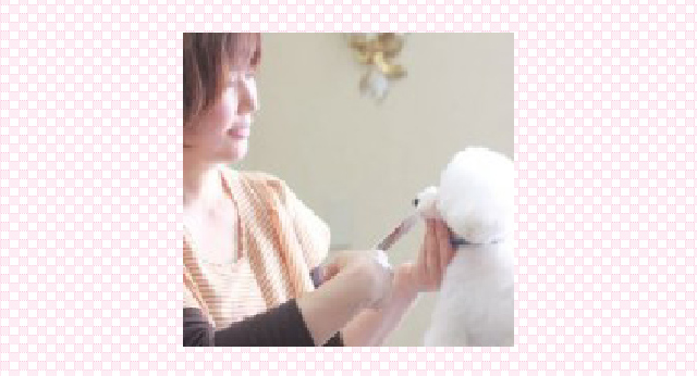 FIGOO オーナー 佐々木啓子さん
