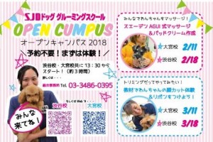 オープンはがき-コピー