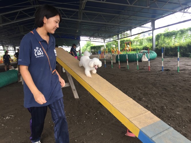 体験授業