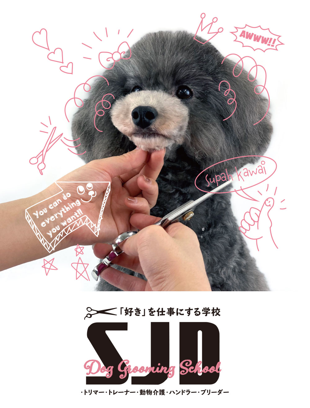 SJD ドッググルーミングスクール