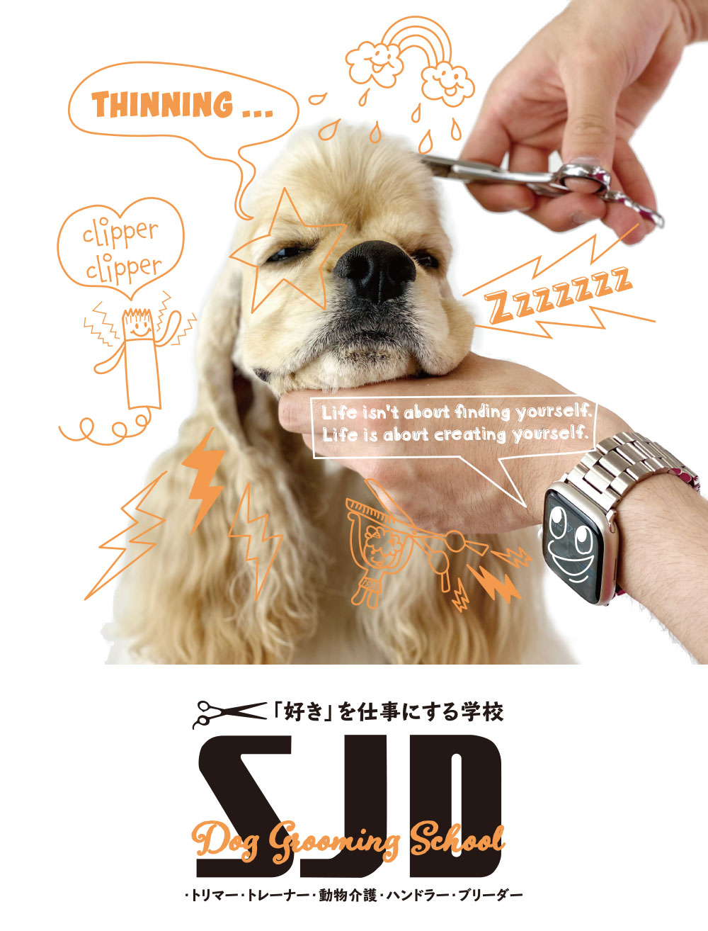 SJD ドッググルーミングスクール