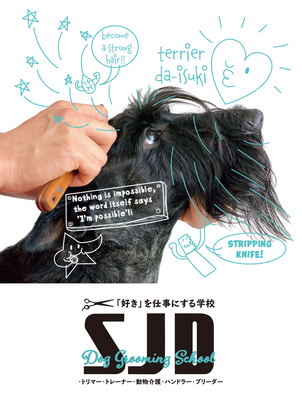 SJD ドッググルーミングスクール