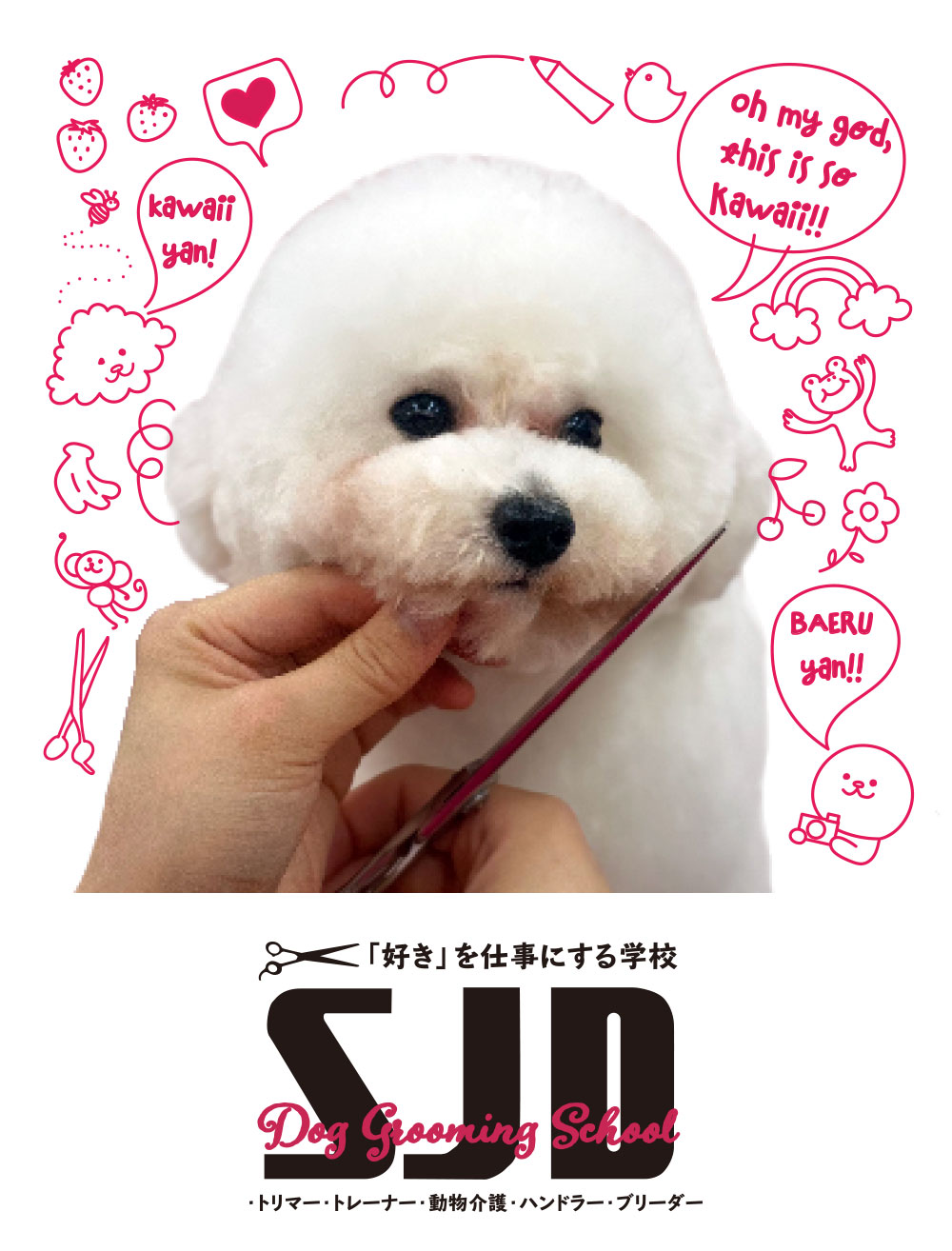 SJD ドッググルーミングスクール