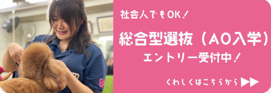 総合型選抜(AO入学)エントリー受付中！