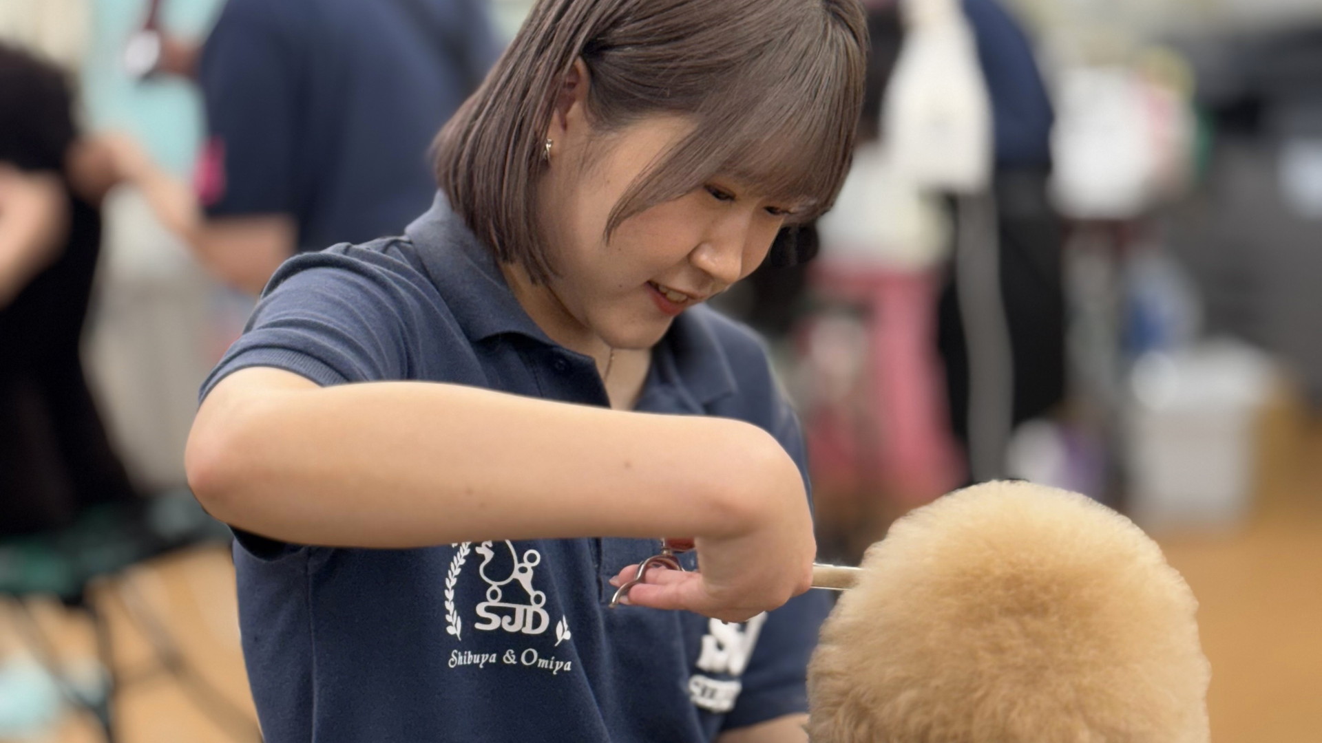 Tuition 学費