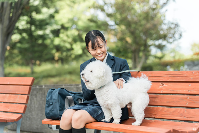 【高校生向け】トリマーになるために今できることを解説