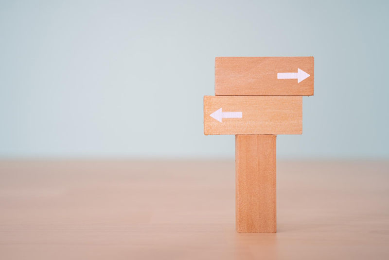 トリマーを目指す場合の高校卒業後の進路 