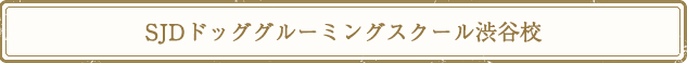 SJDドッググルーミングスクール渋谷校