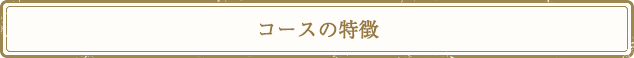 コースの特徴