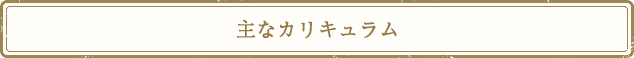 主なカリキュラム