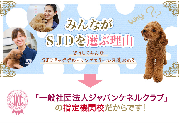 みんながSJDを選ぶ理由どうしてみんなSJDドッググルーミングスクールを選ぶの? 「社団法人ジャパンケネルクラブ」の認定校だからです!