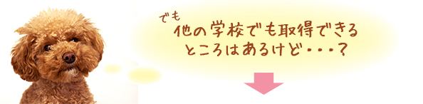 他の学校でも取得できるところはあるけど・・・?