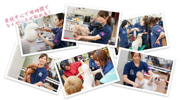 実技中心で短時間でライセンスが取れる!