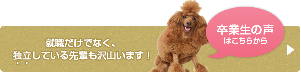就職だけでなく、独立している先輩も沢山います! 卒業生の声はこちらから