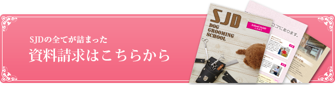 SJDが全て詰まった資料請求はこちらから