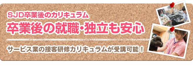 SJD卒業後のカリキュラム卒業後の就職・独立も安心