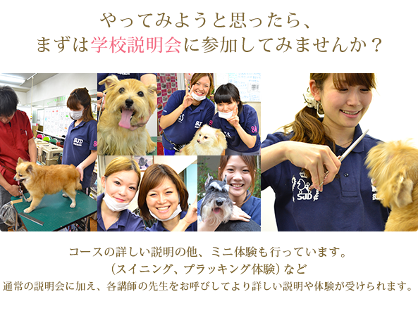 やってみようと思ったら、まずは学校説明会に参加してみませんか?