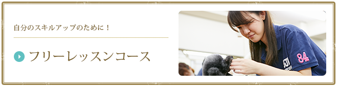自分のスキルアップのために！フリーレッスンコース