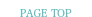 pagetop