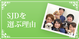 SJDを選ぶ理由