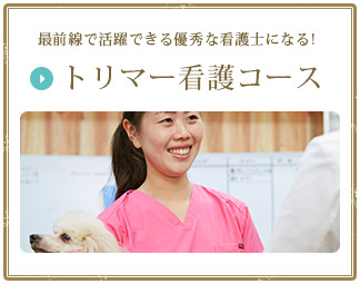 最前線で活躍できる優秀な看護士になる!トリマー看護コース
