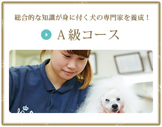総合的な知識が身に付く犬の専門家を養成！Ａ級コース