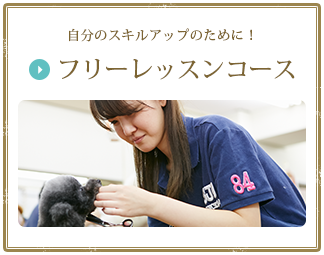 自分のスキルアップのために！フリーレッスンコース